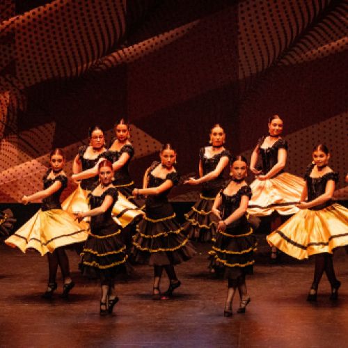 Danza Estilizada y Flamenco 5