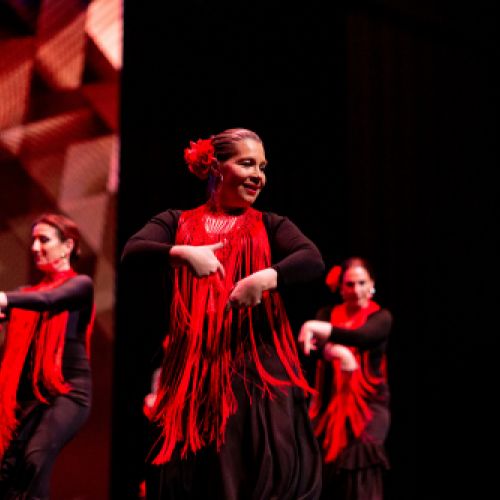 Danza Estilizada y Flamenco 4