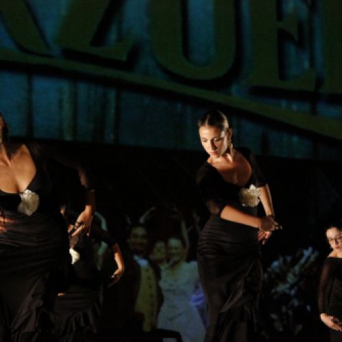 Danza Estilizada y Flamenco 1