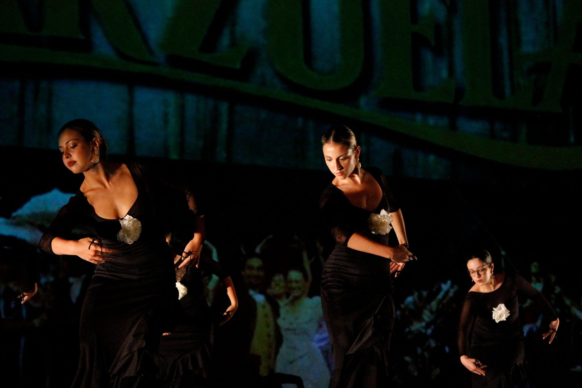 Escuela de Danza y Artes Escénicas en Gijón